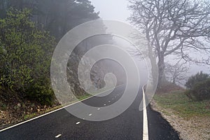 straight mountain road on a heavy foggy day with very low visibility. Morcuera, Madrid photo