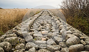 Straight old and long mole paved with stones going through the reed field till Baltic sea, Ainazi, Latvia