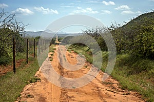 A straight red path along the fence in Tsavo West& x27;s bush