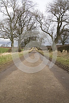 Straight road in countryside