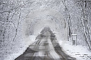 A straight road in a forest in winter snow