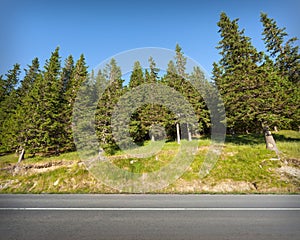 Straight road towards the beautiful trees