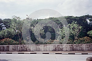 Straight road with trees in Singapore