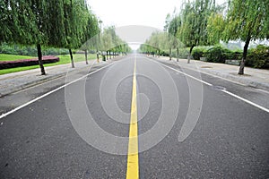 Straight road with willows