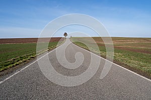 Straight rural road between farmland in the countryside with blue sunny sky in spring