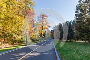 Straight section section of local asphalt road in autumn forest