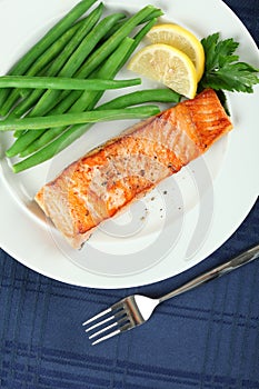 Straight View of Grilled Salmon Fillet