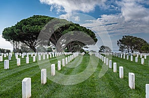 Straight white lines, Rosecrans Cemetery, San Diego, CA, USA