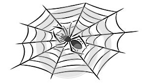Classic Spider Web Icon, Simple and Spooky Element, vector design Generative AI