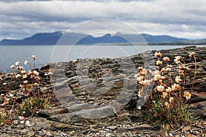 Strait of Magellan, Chile