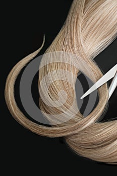 A strand of blond hair with scissors on a black background. Close-up.