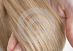 A strand of blond hair on a white background. Close-up.