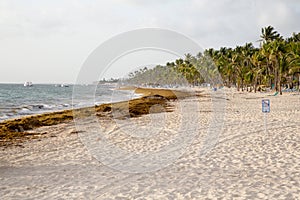 Beach in the Dominican Republic photo