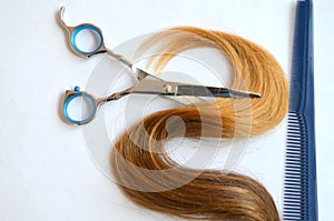 Strand of hair with scissors and comb for haircut