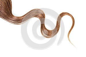 Strand of long, frizzy, brown hair isolated on white background. photo