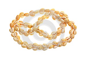 Strand Small Cowry Shell Necklace