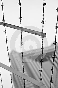 Strand structure of twisted metal barbwire barbed wire structure with sharp barbs outdoors