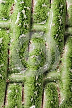 Stranded ceramic pottery detail