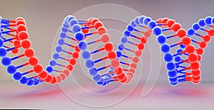 Stranded DNA molecules