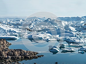 Stranded icebergs at the mouth of the Icefjord near Ilulissat, G