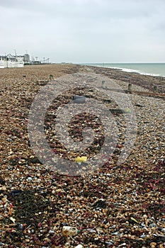 Strandline on Worthing beach