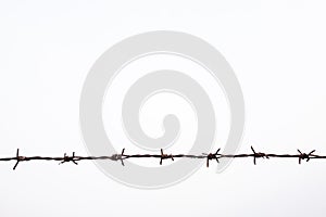 Strands of barb wire isolated against white