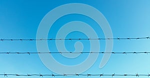 Strands of barbed wire with blue sky and clouds in the background