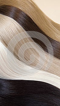 Strands of natural hair of different colors for extensions. Hair color palette