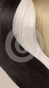 Strands of natural hair of different colors for extensions. Hair color palette