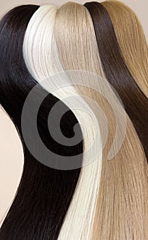 Strands of natural hair of different colors for extensions. Hair color palette