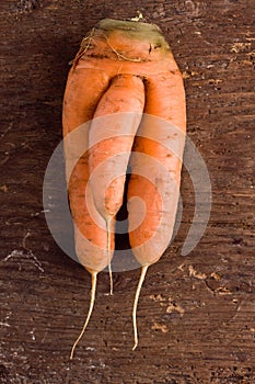 Strange carrot photo