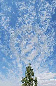 Strange cirrus cloud formation over Las Vegas, Nevada.