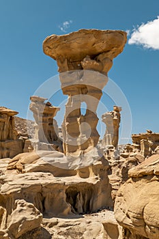 Strange Geological Formations in the Bisti Badlands of New Mexico