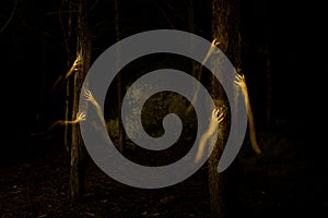 Dark hands in the darkness of the forest