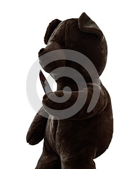 Strange killer teddy bear holding bloody knife silhouette