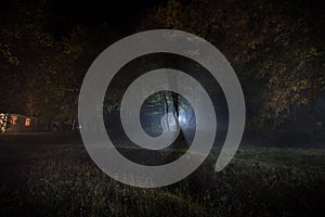 strange light in a dark forest at night. Silhouette of person standing in the dark forest with light. Dark night in forest at fog