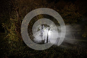 Strange light in a dark forest at night. Silhouette of person standing in the dark forest with light. Dark night in forest at fog