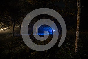 Strange light in a dark forest at night. Silhouette of person standing in the dark forest with light. Dark night in forest at fog