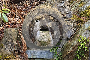 Strange ornemental face