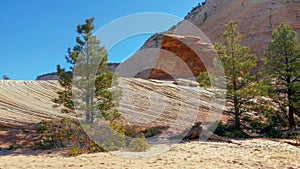 Strange Rock Formation and Checkerboard Mesa