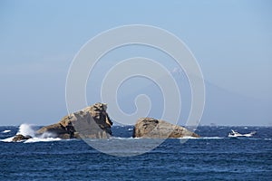 The strange rock of Izu and Mt. Fuji.