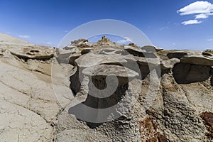 The strange rocky desert scenery of the Bisti badland wilderness Area .