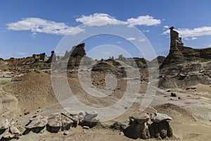 The strange rocky desert scenery of the Bisti badland wilderness Area .