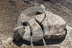 The strange rocky desert scenery of the Bisti badland wilderness Area .