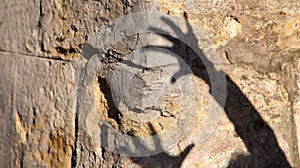 Strange shadow of two hands on an old stone wall. Black shadow, female hand