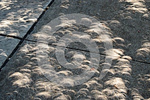 Strange Shadows During a Solar Eclipse