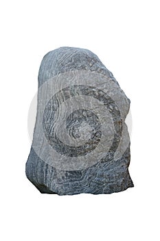 Strange shaped gneiss rock isolated on white background.  A big rock stone for garden decoration.