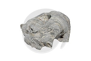 Strange shaped gneiss rock isolated on white background. A big rock stone for garden decoration.