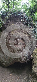 Strange stone with human face