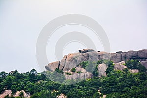 Strange stone like Carp and turtle in Mount Huangshan of China(Mountain range)